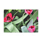 Pink Pop Ups - Canvas - Floral