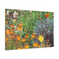 Garden Buzz; A Swarm of Colorful Blooms. - Floral Canvas