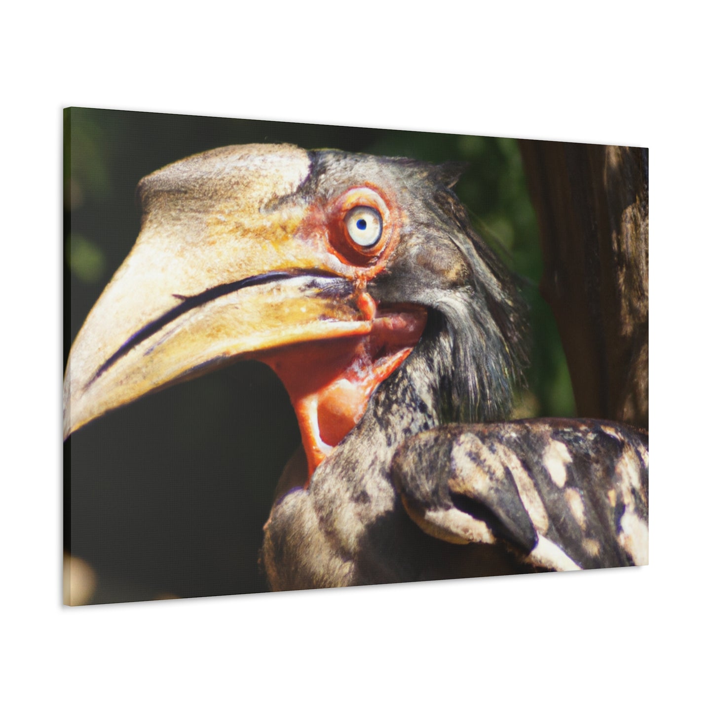 Scary Feathers - Canvas - Wildlife