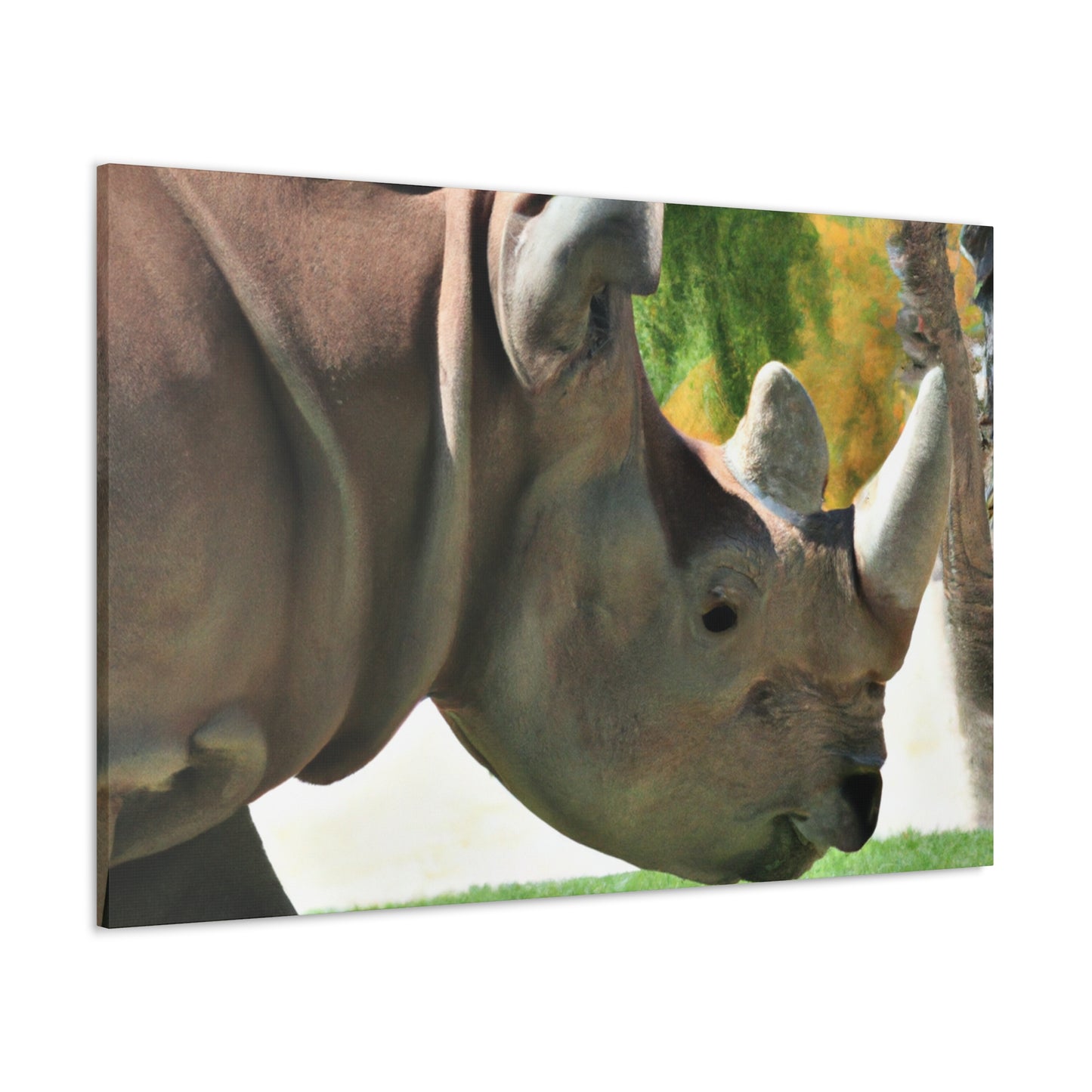 Rhino Head - Canvas - Wildlife