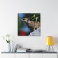 Peekaboo Crittter- Canvas - Wildlife