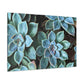Green Paradise. - Canvas - Succulent