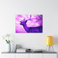Purple King. - Canvas - Wildlife