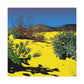 Sandswept Vista - Landscape - Canvas - Desert