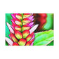 Punch - Canvas - Floral