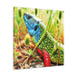 Lizard - Wildlife Canvas