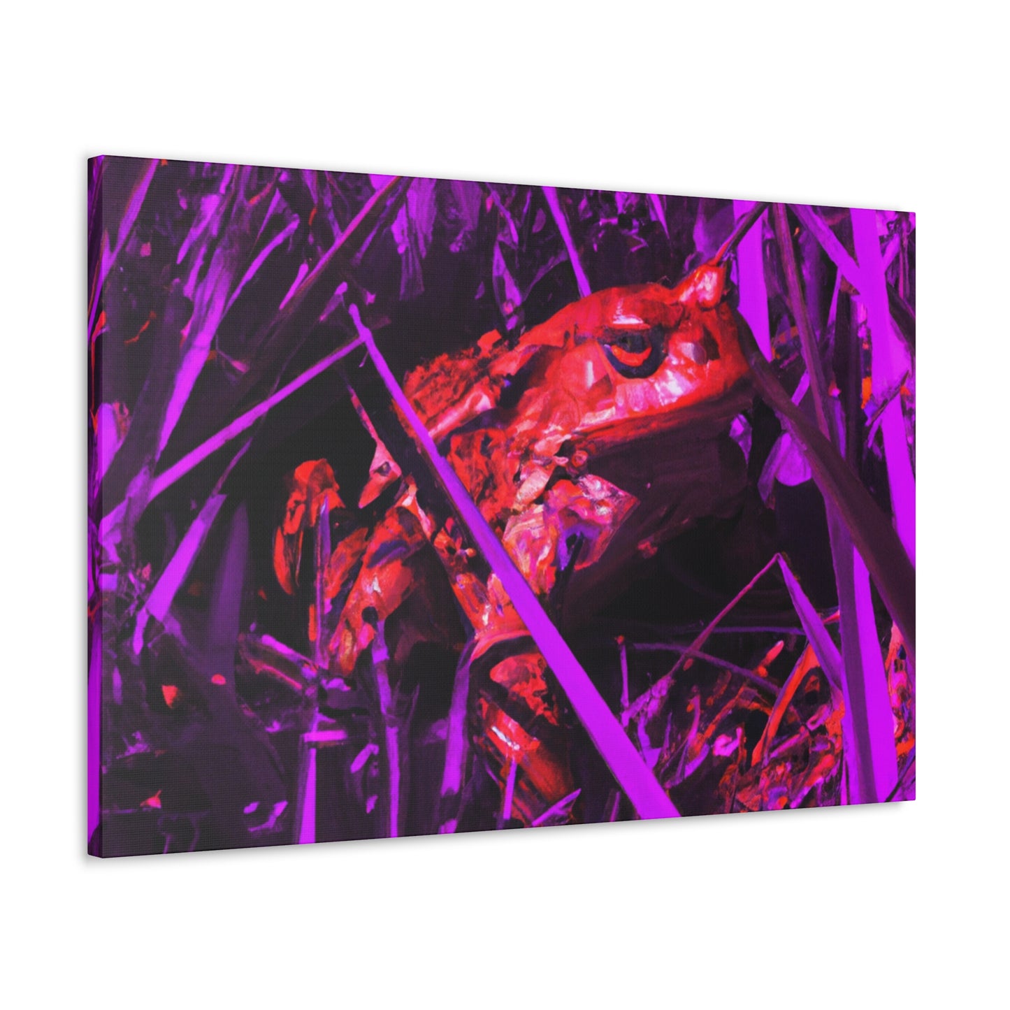 Red Frog - Canvas - Wildlife