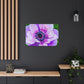 Garden Blooms. - Canvas - Floral