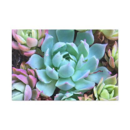 "Garden of Abundance" - Canvas - Succulent