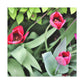 Pink Pop Ups - Canvas - Floral