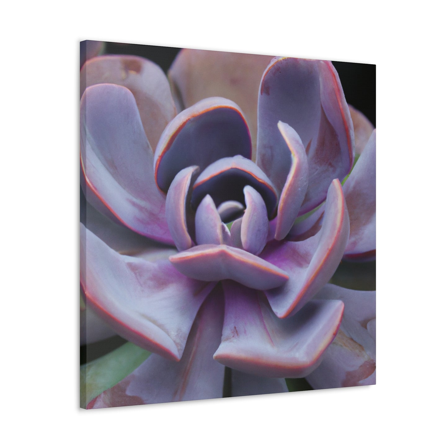 Aeolus, the Keeper of the Winds. - Canvas - Succulent