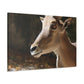 Elky Horn - Canvas Wildlife