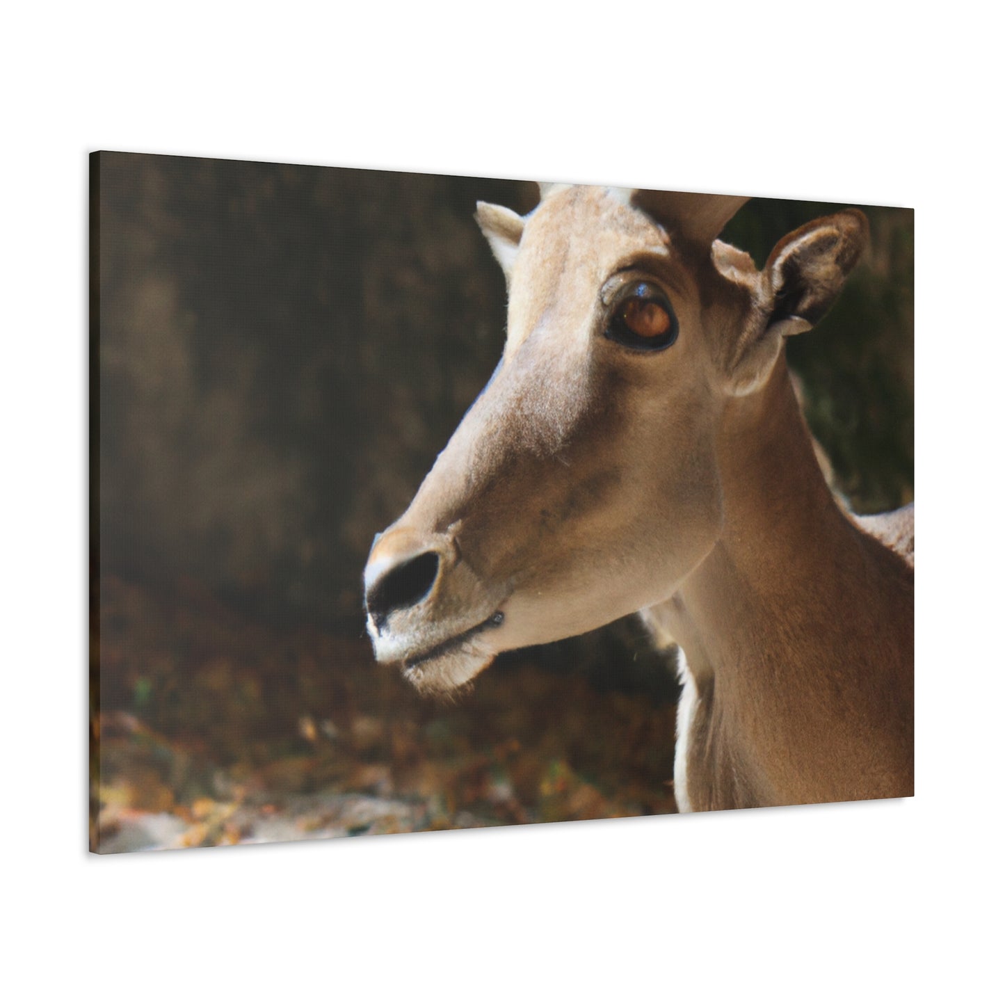 Elky Horn - Canvas Wildlife