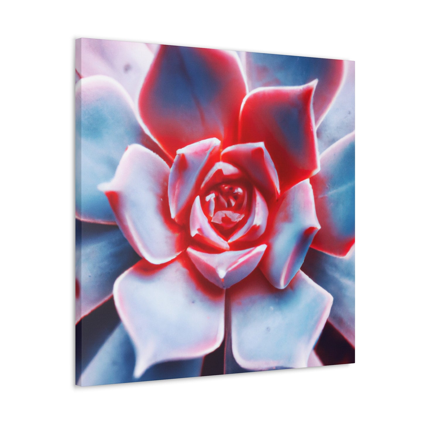 "Garden Glimmer" - Canvas - Succulent
