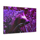 Purple Porcipine. - Canvas - Wildlife