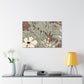 Primrose-Floral - Canvas