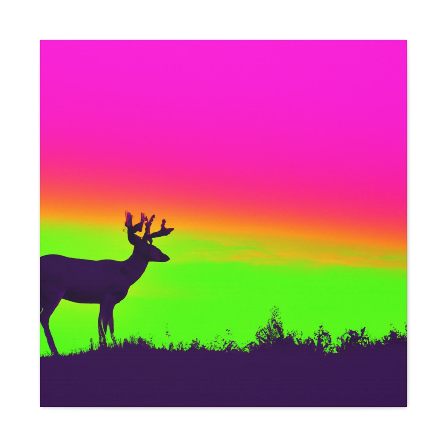 Stud Neon Sky. - Wildlife Canvas