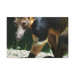 Furfuzzle! - Canvas - Wildlife