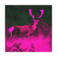 Pink Steer - Canvas - Wildlife