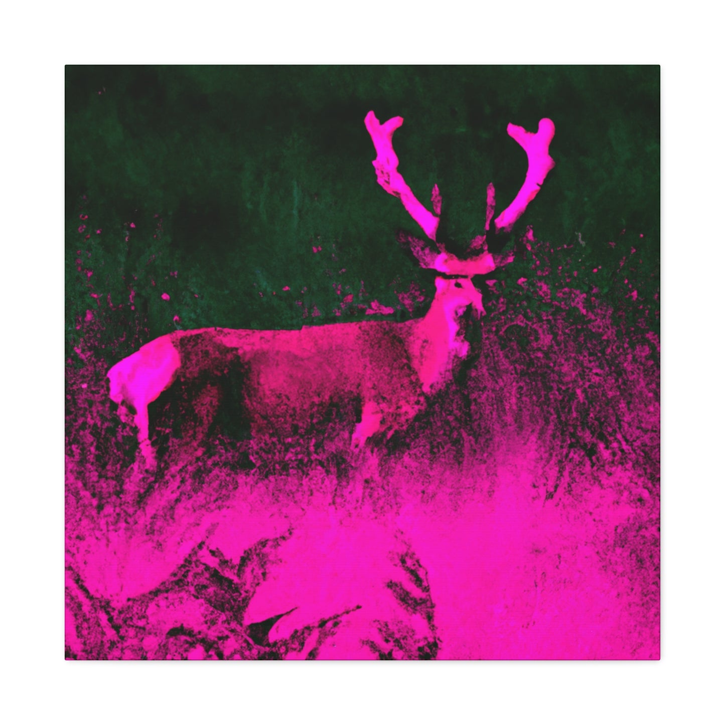 Pink Steer - Canvas - Wildlife