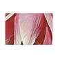 Pink Elder - Canvas - Floral