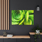 Neon Life. - Canvas - Succulent