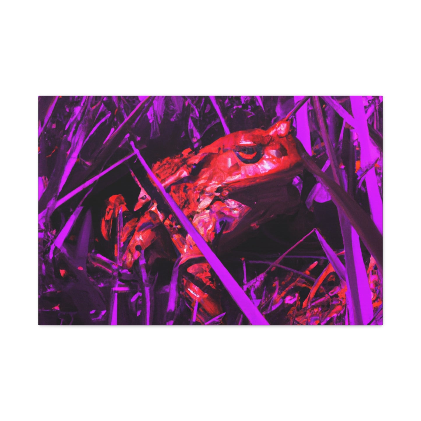 Red Frog - Canvas - Wildlife