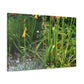 Blooming Floral Garden - Floral Canvas
