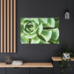 "Garden Gala" - Canvas - Succulent