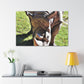 Climbing Zorton! - Canvas - Wildlife
