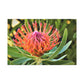 Floral Scroll Garden Print - Canvas - Floral