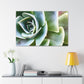 Garden of Delights - Canvas - Succulent