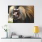 Boony Coleoptera - Canvas - Wildlife