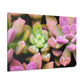 Blooming Garden Delight - Canvas - Succulent