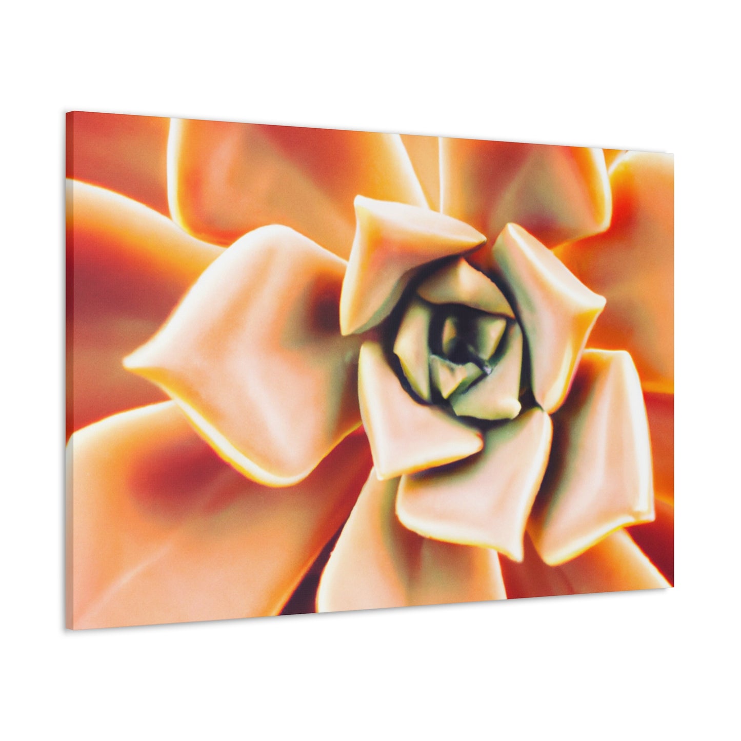 "Melon Symphony" - Canvas - Succulent