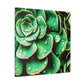 "Garden Splendor" - Canvas - Succulent