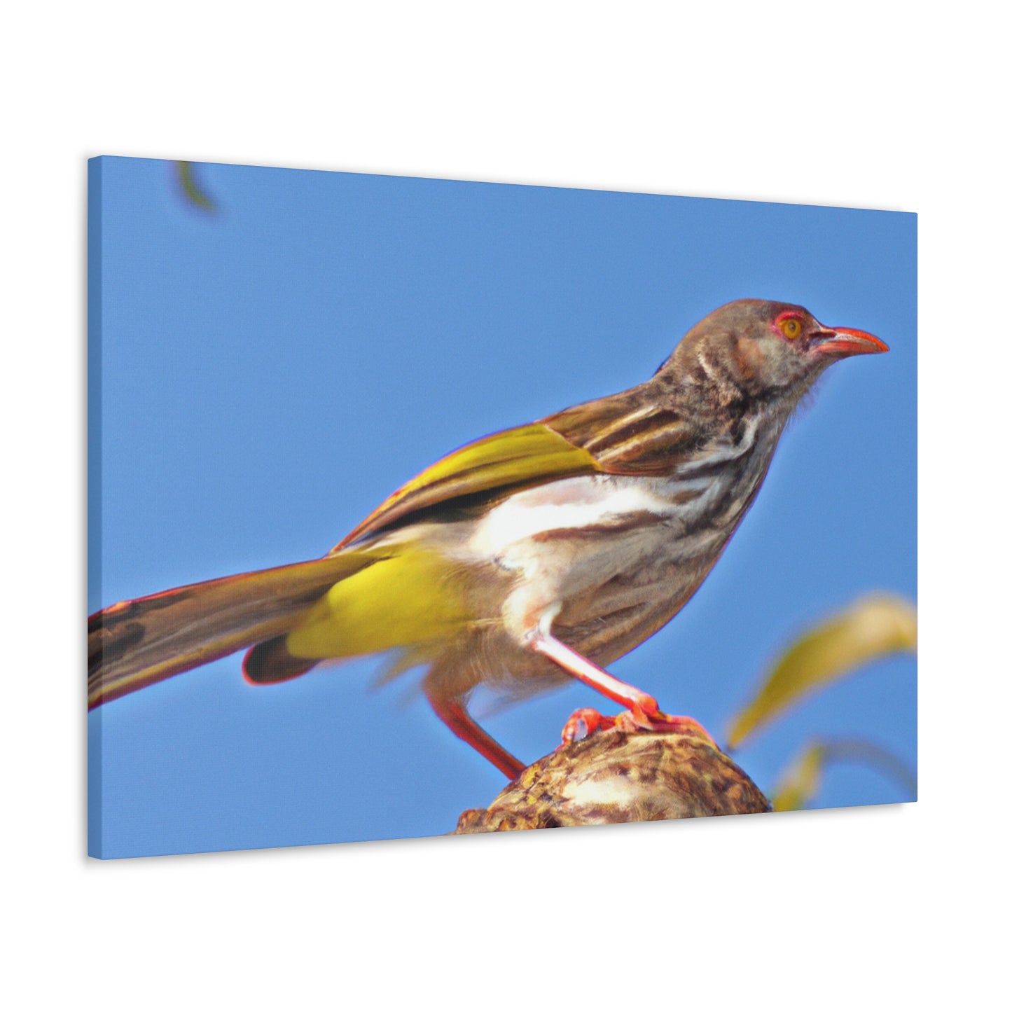 Scalecrawler - Wildlife Canvas