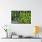 Blooming Floral Garden - Floral Canvas