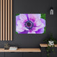 Garden Blooms. - Canvas - Floral