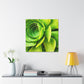 Neon Life. - Canvas - Succulent