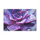 Purple Splendor - Canvas - Succulent