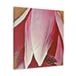 Pink Elder - Canvas - Floral