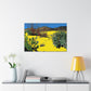 Sandswept Vista - Landscape - Canvas - Desert