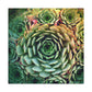 Aphrodite's Flight. - Canvas - Succulent