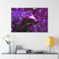 Purple Porcipine. - Canvas - Wildlife