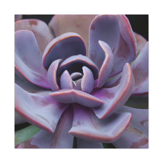 Aeolus, the Keeper of the Winds. - Canvas - Succulent