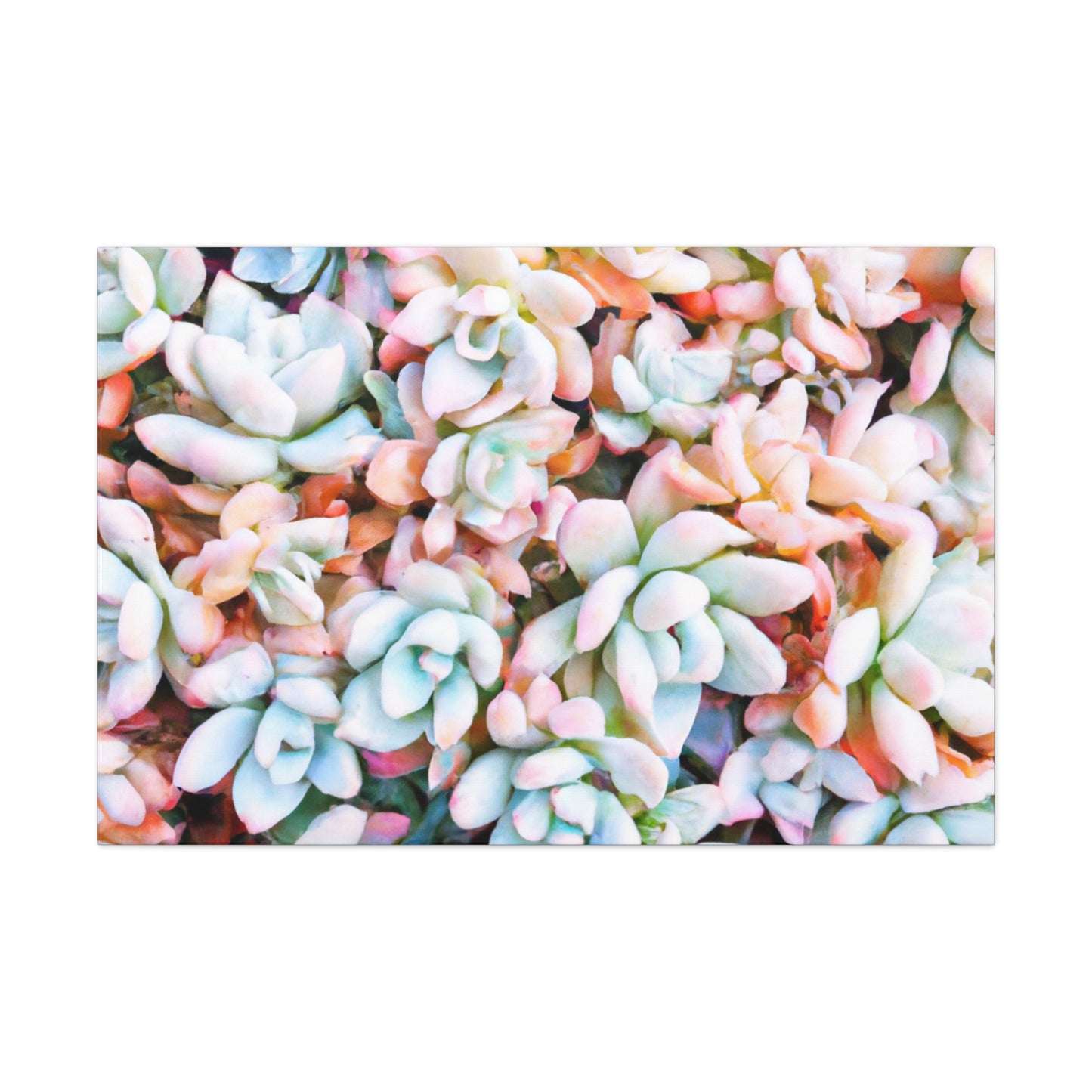 Floral Bouquet in the Garden. - Canvas - Succulent