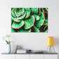 "Garden Splendor" - Canvas - Succulent