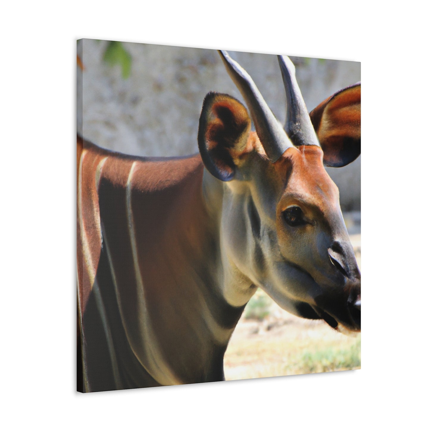 Elk Face- Canvas Wildlife
