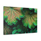 Hector - Canvas - Floral